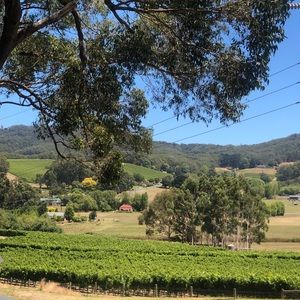 Meet your Posher, Jill